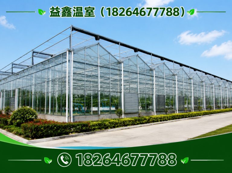 临朐县益鑫温室展示图